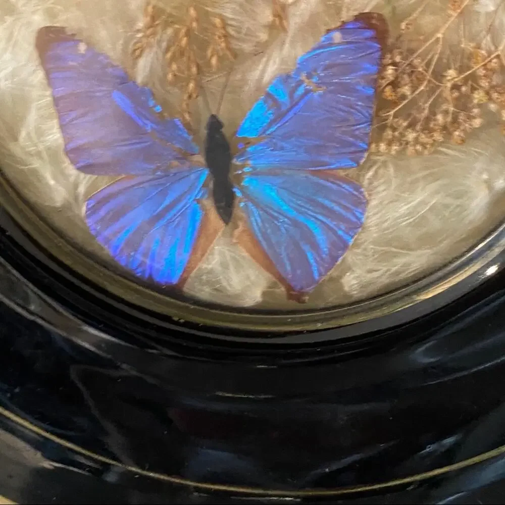 Vintage‎ boho naturals botanical butterfly decorative glass and stoneware plate
